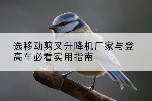 马山电动升降机厂家-选移动剪叉升降机厂家与登高车必看实用指南