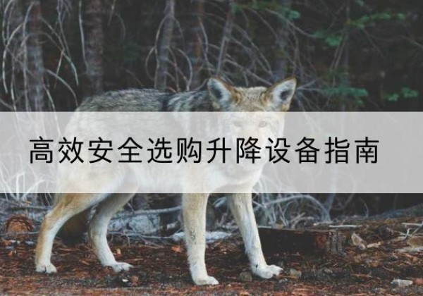 马山升降货梯厂家推荐-*安全选购升降设备指南